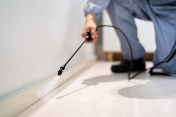 Bed Bug Pre-Treatment Preparation Assessment in Broken Bow