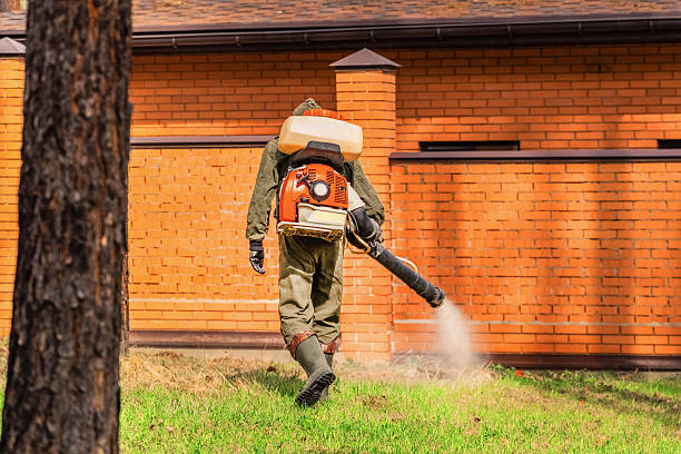 Bed Bug Clearance Verification and Documentation in Broken Bow